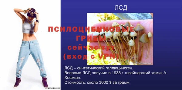 ECSTASY Аркадак