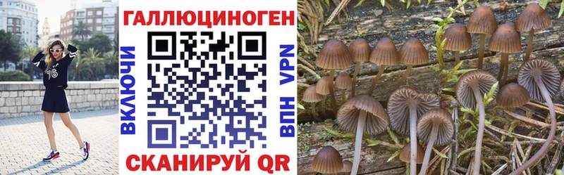 Псилоцибиновые грибы Magic Shrooms  купить наркоту  Бутурлиновка 